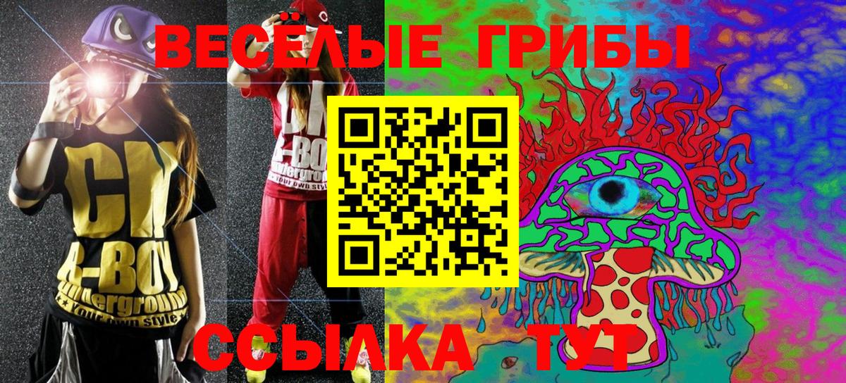 Псилоцибиновые грибы Psilocybe  Вход с VPN  Борзя 